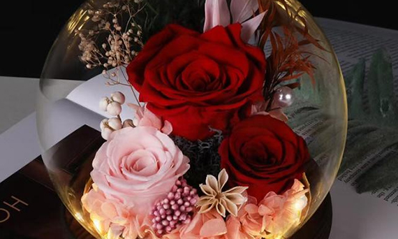 Como cuidar e manter flores preservadas?