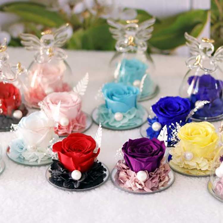 Rosa Eterna Angélica