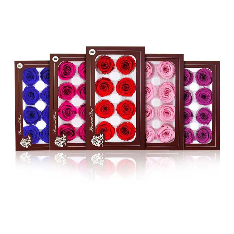 Flor Eterna 8 flores Caixa de Presente Rosa