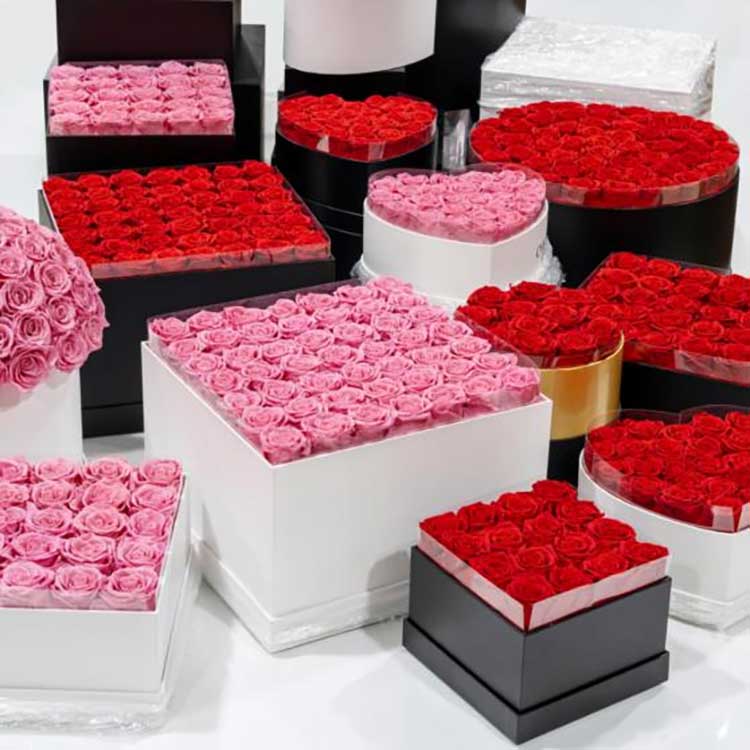 Balde de abraços de flores preservadas